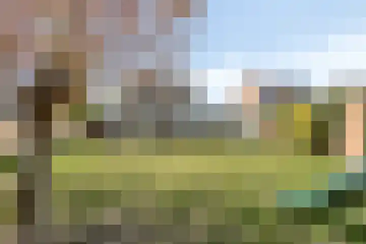 Haelerweg 4 Horn thumbnail 39