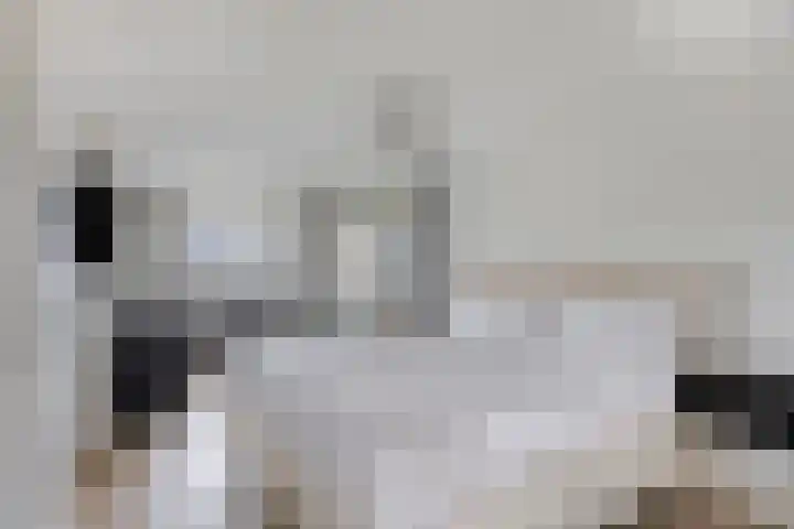 Haelerweg 4 Horn thumbnail 4