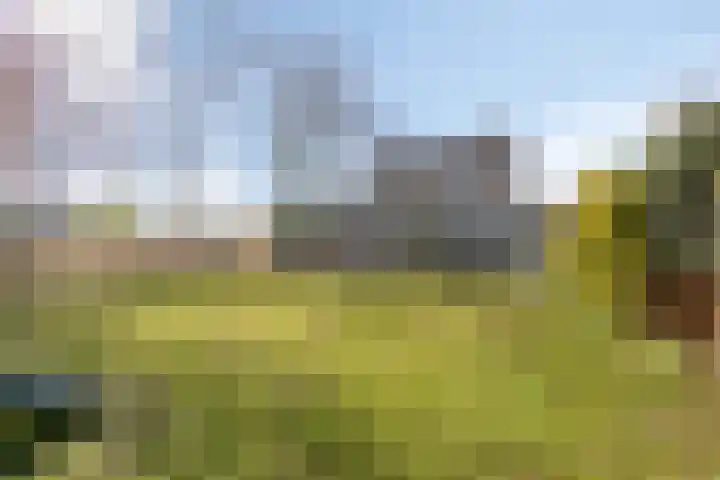 Haelerweg 4 Horn thumbnail 40