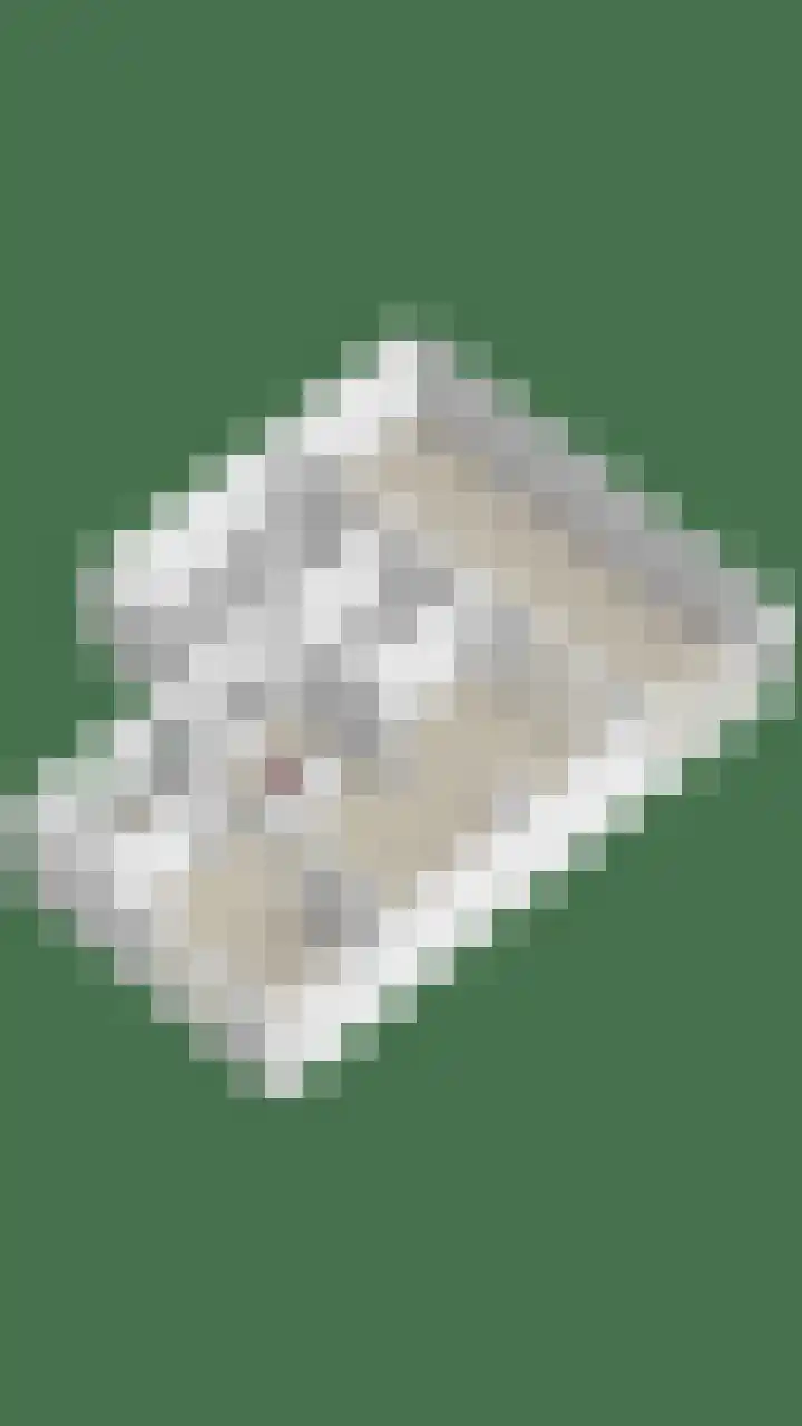 Haelerweg 4 Horn thumbnail 48