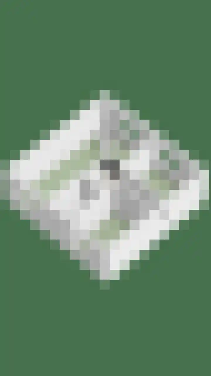 Haelerweg 4 Horn thumbnail 49