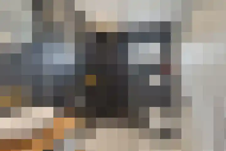 Haelerweg 4 Horn thumbnail 5