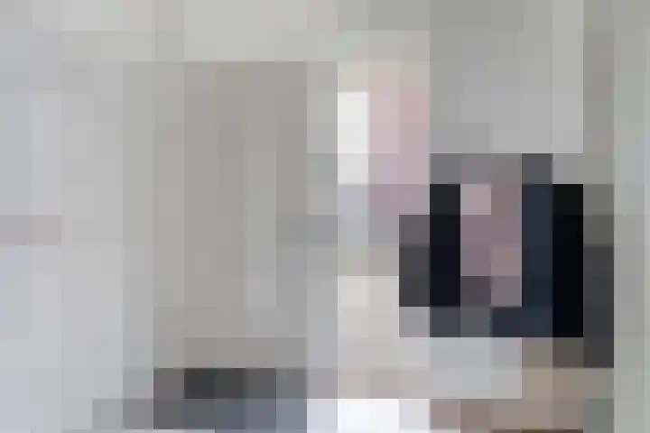 Haelerweg 4 Horn thumbnail 9