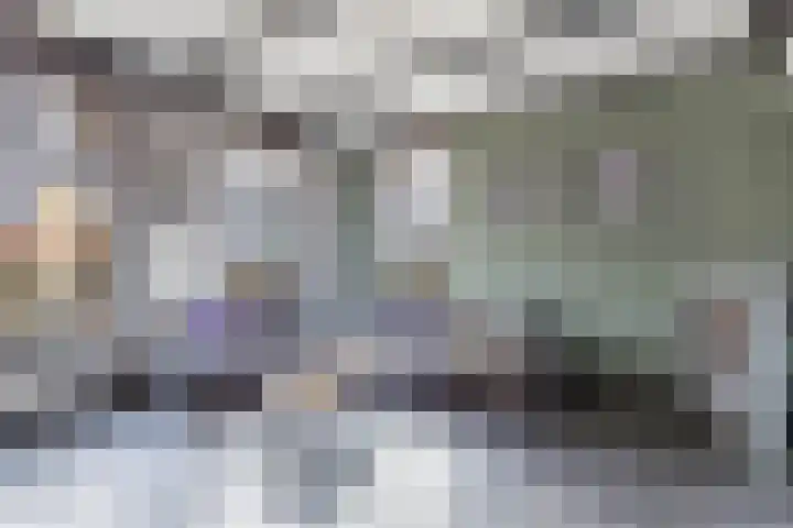 Haerdawei 20 Oosterbierum thumbnail 12