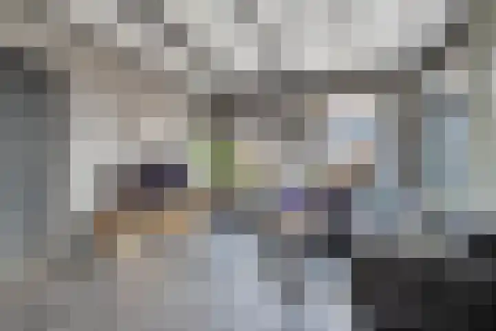 Haerdawei 20 Oosterbierum thumbnail 14