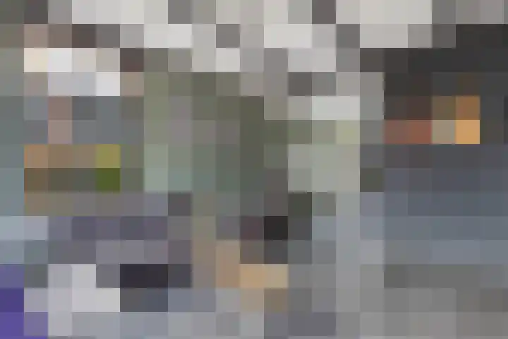 Haerdawei 20 Oosterbierum thumbnail 15