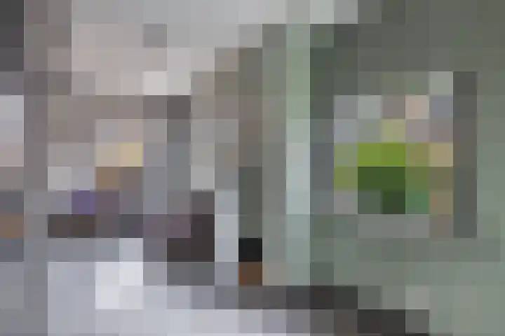 Haerdawei 20 Oosterbierum thumbnail 18