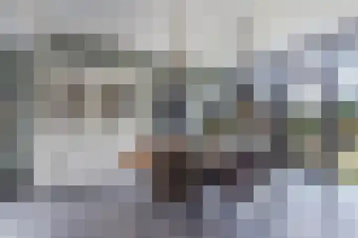Haerdawei 20 Oosterbierum thumbnail 20