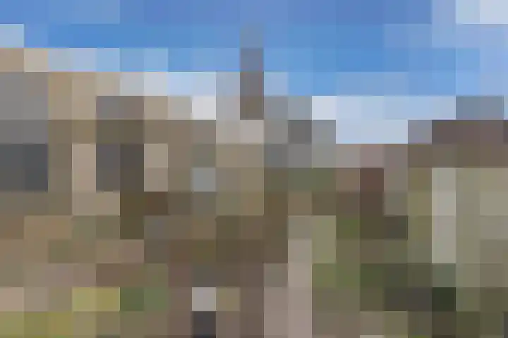 Haerdawei 20 Oosterbierum thumbnail 34