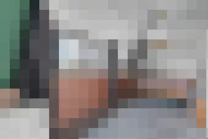 Haerdawei 20 Oosterbierum thumbnail 42