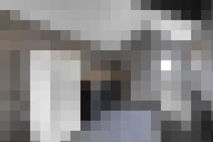 Haerdawei 20 Oosterbierum thumbnail 44