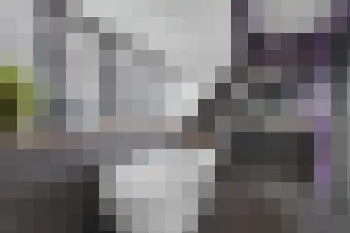 Haerdawei 20 Oosterbierum thumbnail 49