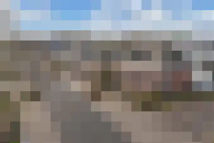 Haerdawei 20 Oosterbierum thumbnail 9
