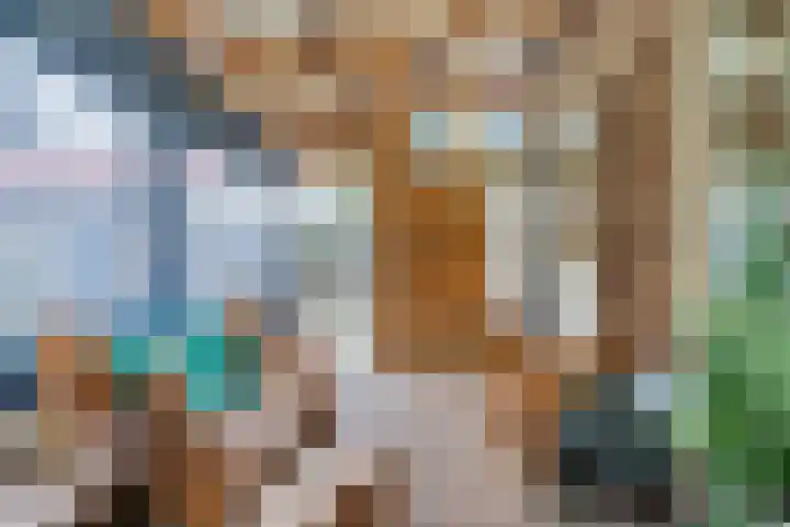 Haesackerlaan 81 Heiloo thumbnail 28