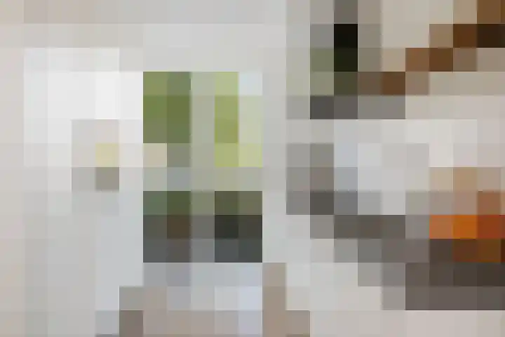 Haeverhorst 8 Epse thumbnail 12