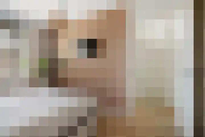 Haeverhorst 8 Epse thumbnail 23