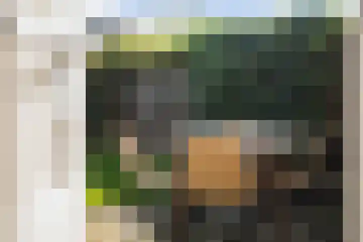 Haeverhorst 8 Epse thumbnail 31