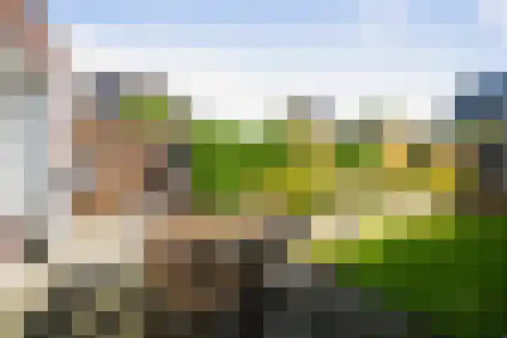Haeverhorst 8 Epse thumbnail 32