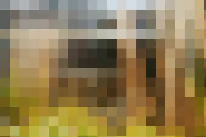 Haeverhorst 8 Epse thumbnail 34