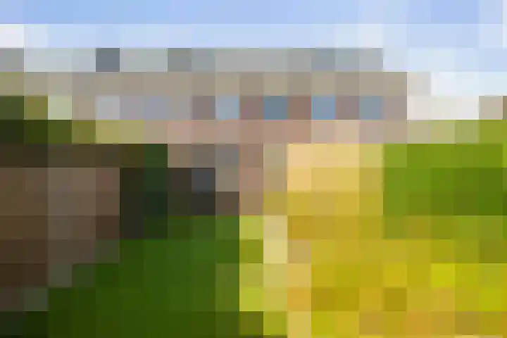 Haeverhorst 8 Epse thumbnail 37