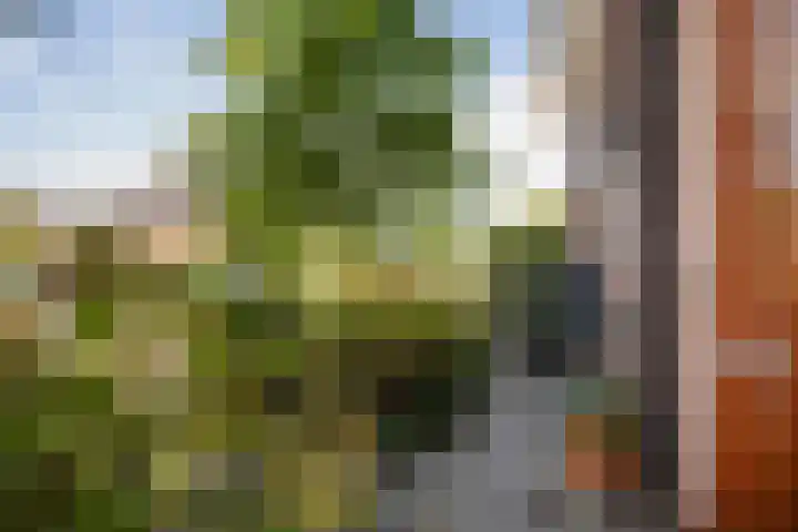 Haeverhorst 8 Epse thumbnail 40