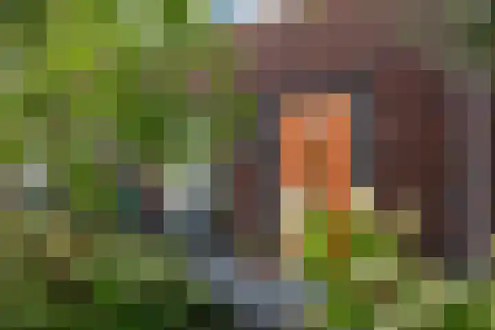 Haeverhorst 8 Epse thumbnail 41