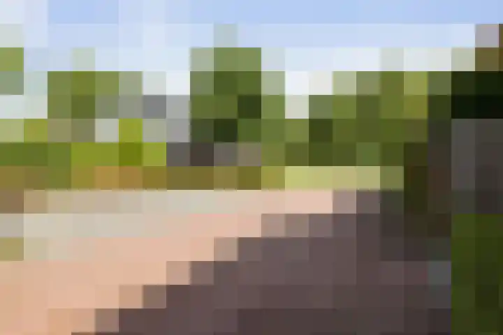 Haeverhorst 8 Epse thumbnail 44