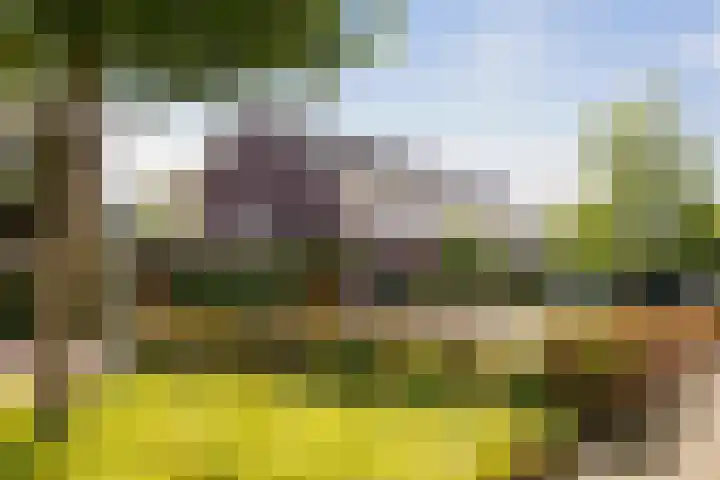 Haeverhorst 8 Epse thumbnail 45