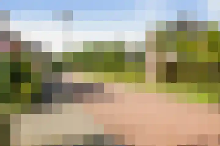 Haeverhorst 8 Epse thumbnail 47