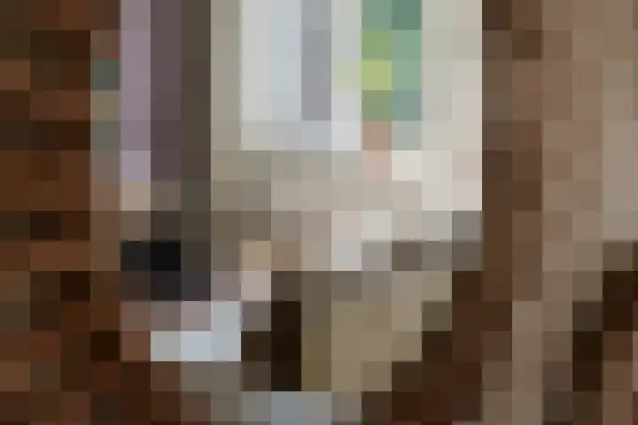 Haeverhorst 8 Epse thumbnail 6