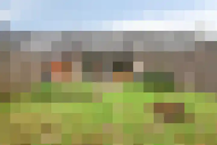 Haf 41 Lelystad thumbnail 28
