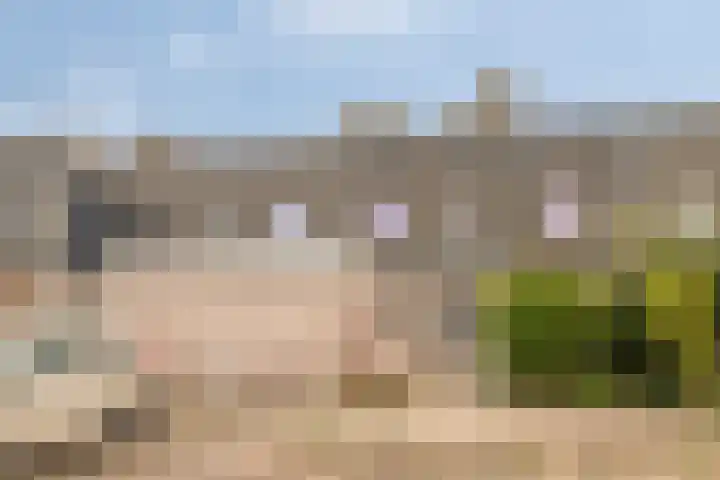 Haf 41 Lelystad thumbnail 30