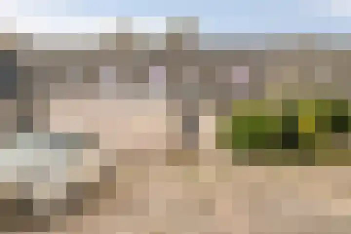 Haf 41 Lelystad thumbnail 31