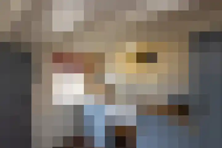 Hagdijk 3 Neede thumbnail 13
