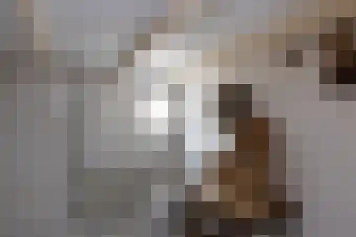 Hagdijk 3 Neede thumbnail 14