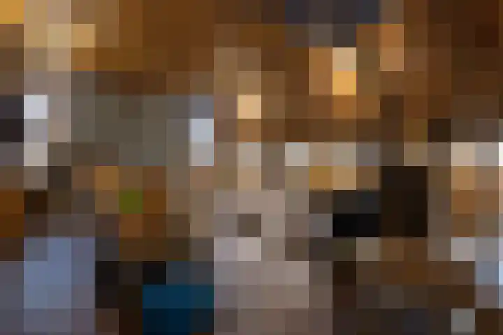 Hagdijk 3 Neede thumbnail 15
