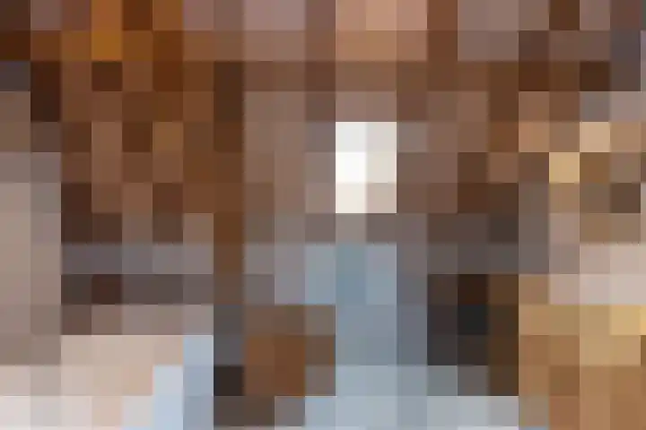Hagdijk 3 Neede thumbnail 29
