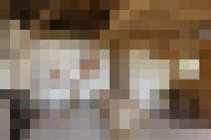Hagdijk 3 Neede thumbnail 31