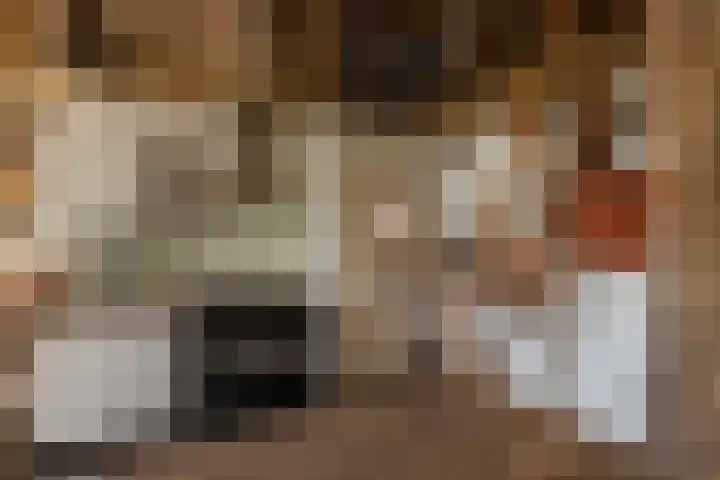 Hagdijk 3 Neede thumbnail 33