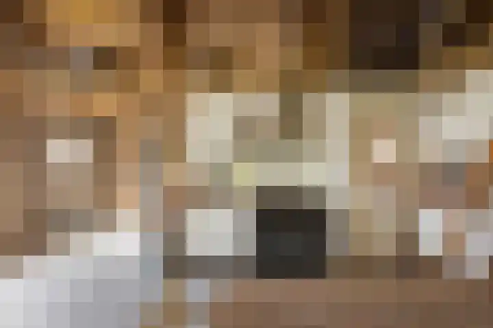 Hagdijk 3 Neede thumbnail 34