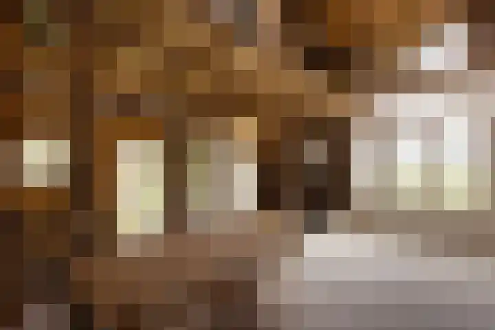Hagdijk 3 Neede thumbnail 35