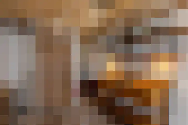 Hagdijk 3 Neede thumbnail 40