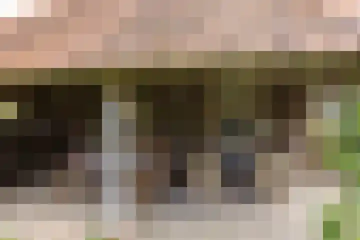 Hagdijk 3 Neede thumbnail 45