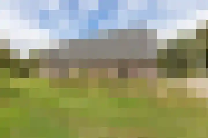 Hagdijk 3 Neede thumbnail 53