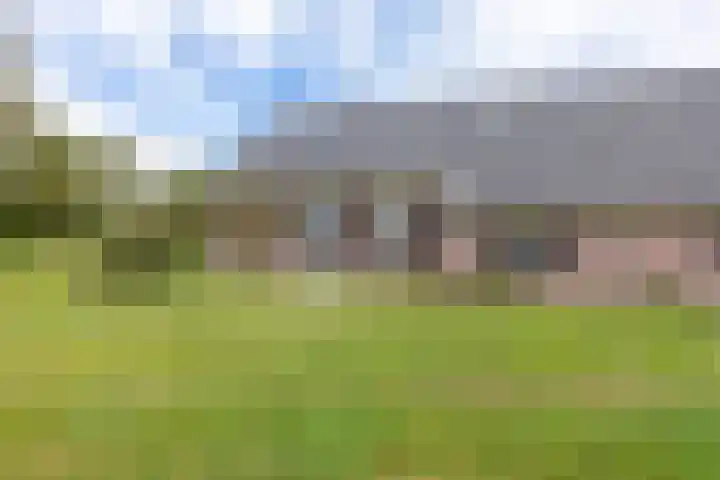 Hagdijk 3 Neede thumbnail 54