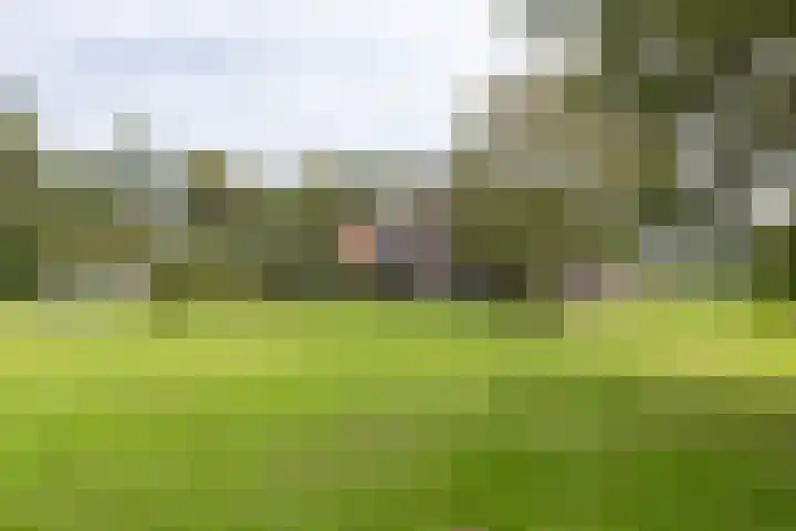 Hagdijk 3 Neede thumbnail 55