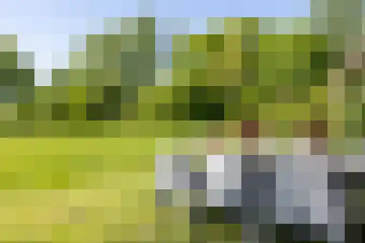 Hagdijk 3 Neede thumbnail 57