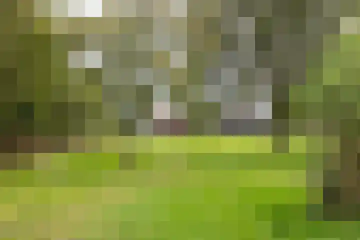 Hagdijk 3 Neede thumbnail 58