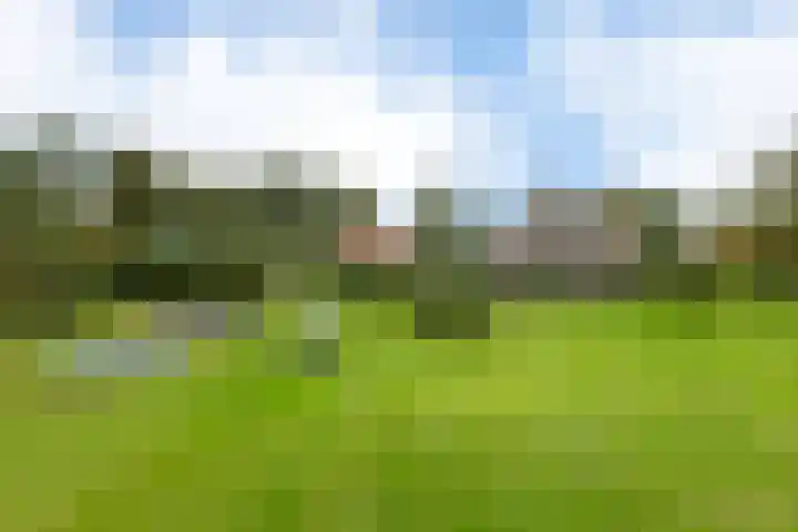 Hagdijk 3 Neede thumbnail 59