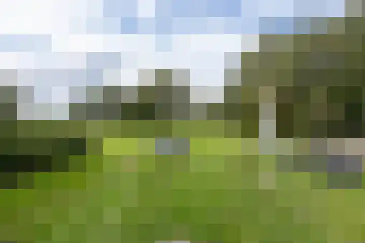 Hagdijk 3 Neede thumbnail 61